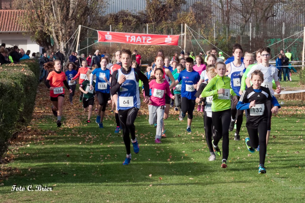 MTV Bad Kreuznach 2015