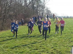 K800_20160227_133423