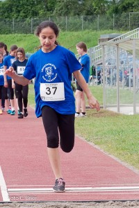 K1024 BRIER-5924160514