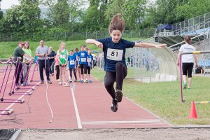 K1024 BRIER-5929160514