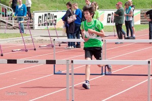 K1024 BRIER-5954160514