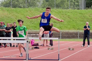 K1024 BRIER-5956160514