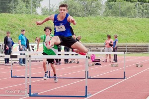 K1024 BRIER-5963160514