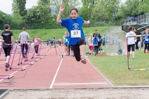 K1024 BRIER-5986160514