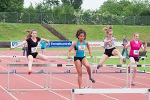 K1024 BRIER-6006160514