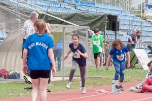 K1024 BRIER-6016160514