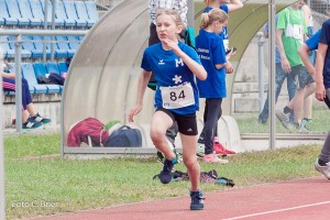 K1024 BRIER-6025160514