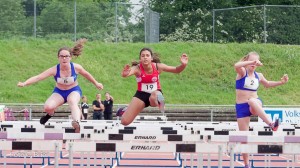 K1024 BRIER-6031160514