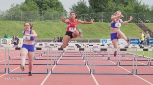 K1024 BRIER-6046160514