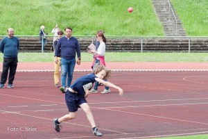 K1024 BRIER-6053160514