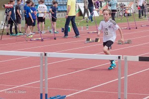 K1024 BRIER-6080160514