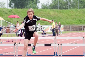 K1024 BRIER-6110160514