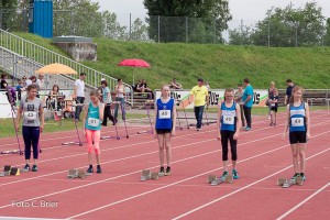 K1024 BRIER-6115160514