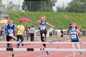 K1024 BRIER-6119160514