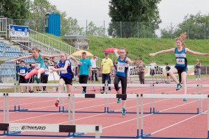 K1024 BRIER-6122160514