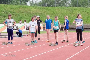 K1024 BRIER-6168160514