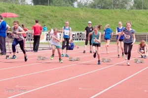 K1024 BRIER-6174160514