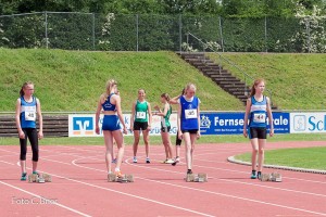 K1024 BRIER-6194160514