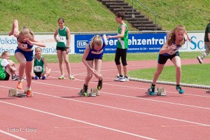 K1024 BRIER-6195160514