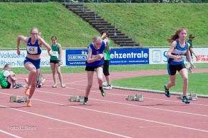 K1024 BRIER-6198160514