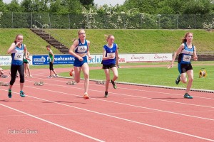 K1024 BRIER-6201160514