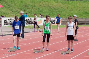 K1024 BRIER-6244160514