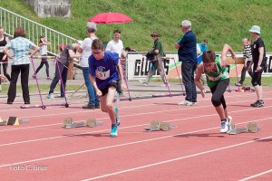 K1024 BRIER-6249160514