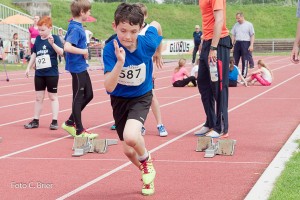 K1024 BRIER-6385160514