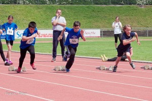 K1024 BRIER-6475160514