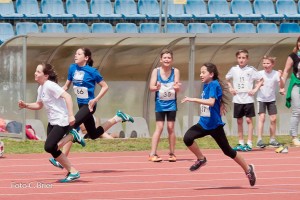 K1024 BRIER-6492160514