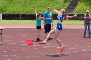 K1024 BRIER-6500160514