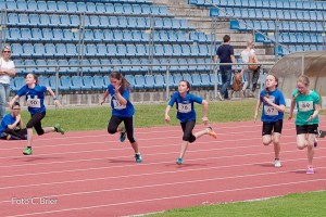 K1024 BRIER-6541160514