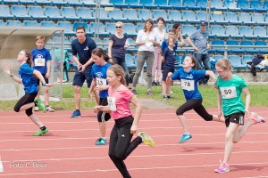 K1024 BRIER-6547160514