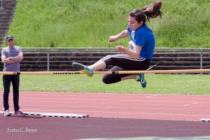 K1024 BRIER-6559160514