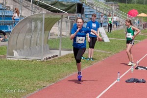 K1024 BRIER-6611160514