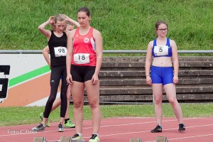 K1024 BRIER-6635160514