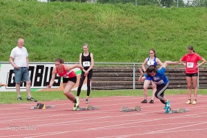 K1024 BRIER-6639160514