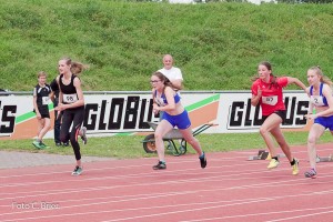 K1024 BRIER-6657160514