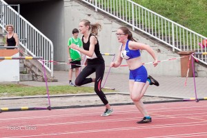 K1024 BRIER-6664160514