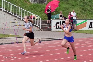 K1024 BRIER-6677160514