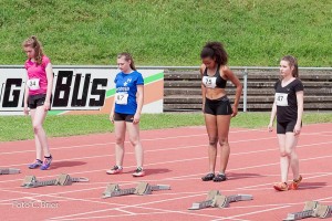 K1024 BRIER-6681160514