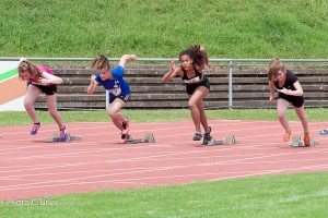 K1024 BRIER-6684160514