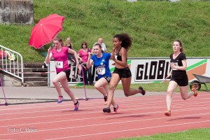 K1024 BRIER-6690160514