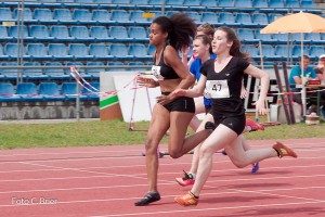 K1024 BRIER-6699160514