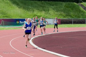 K1024 BRIER-6723160514