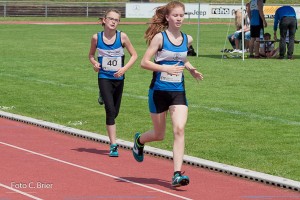 K1024 BRIER-6746160514