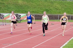 K1024 BRIER-6818160514