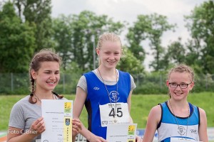 K1024 BRIER-6845160514