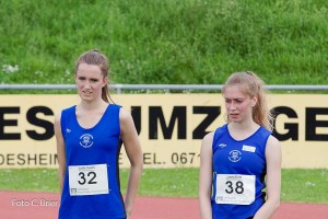 K1024 BRIER-6848160514