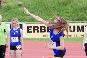 K1024 BRIER-6855160514